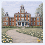 When Sisterhood Opened the Door...Great Grammy's Cottey Adventure